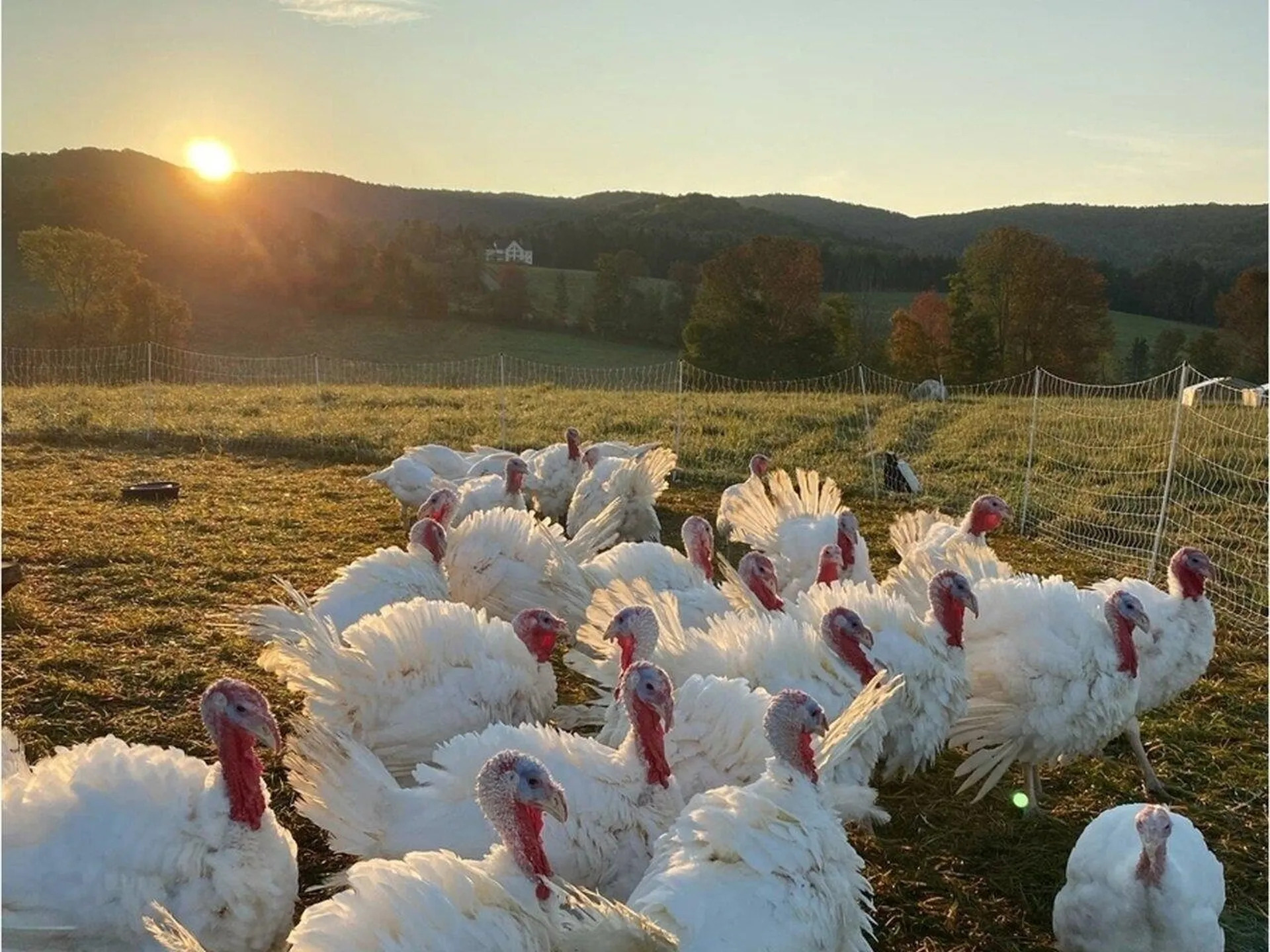 183 & 344 Morrie Road Washington VT 05675