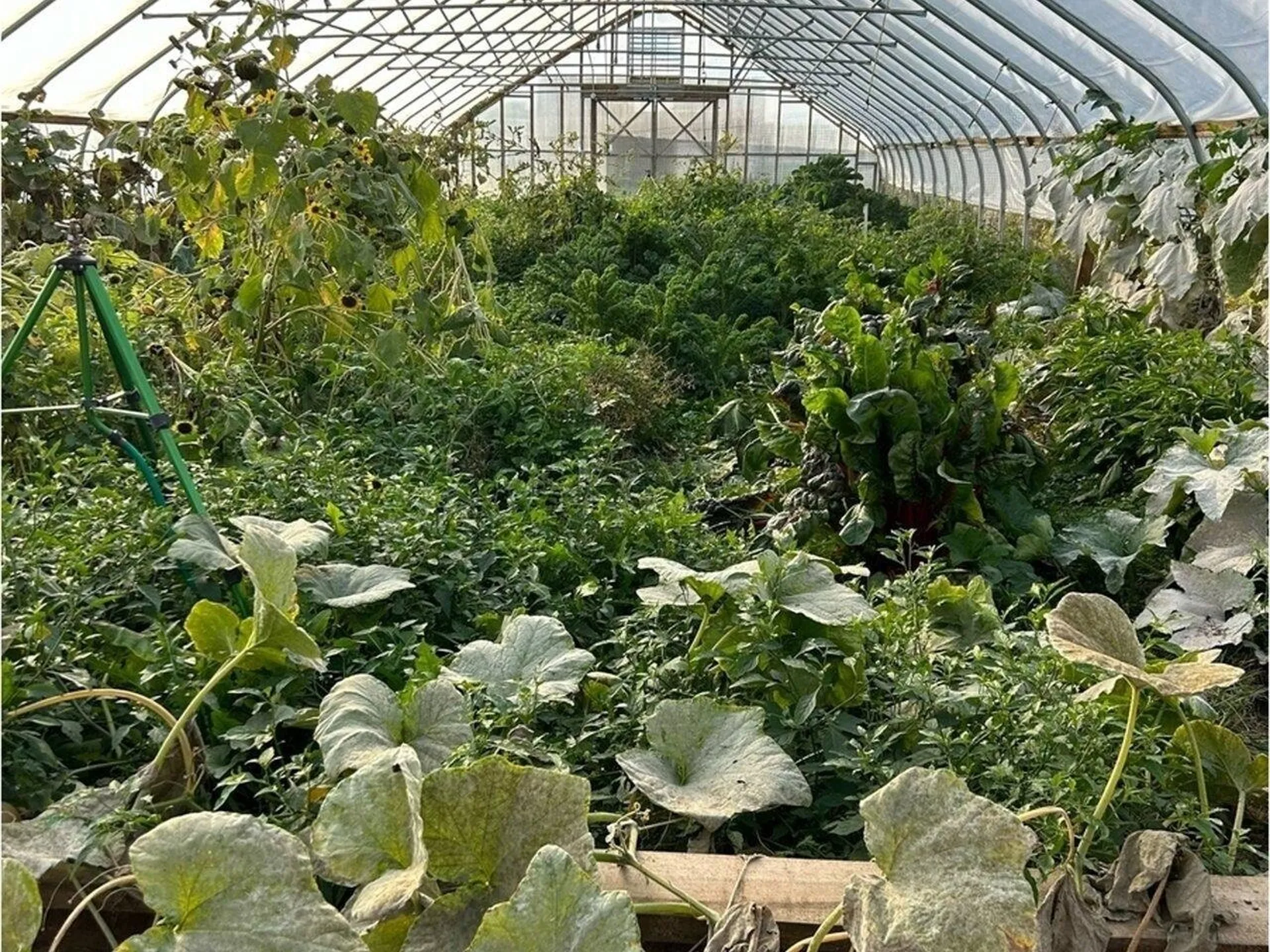 183 & 344 Morrie Road Washington VT 05675