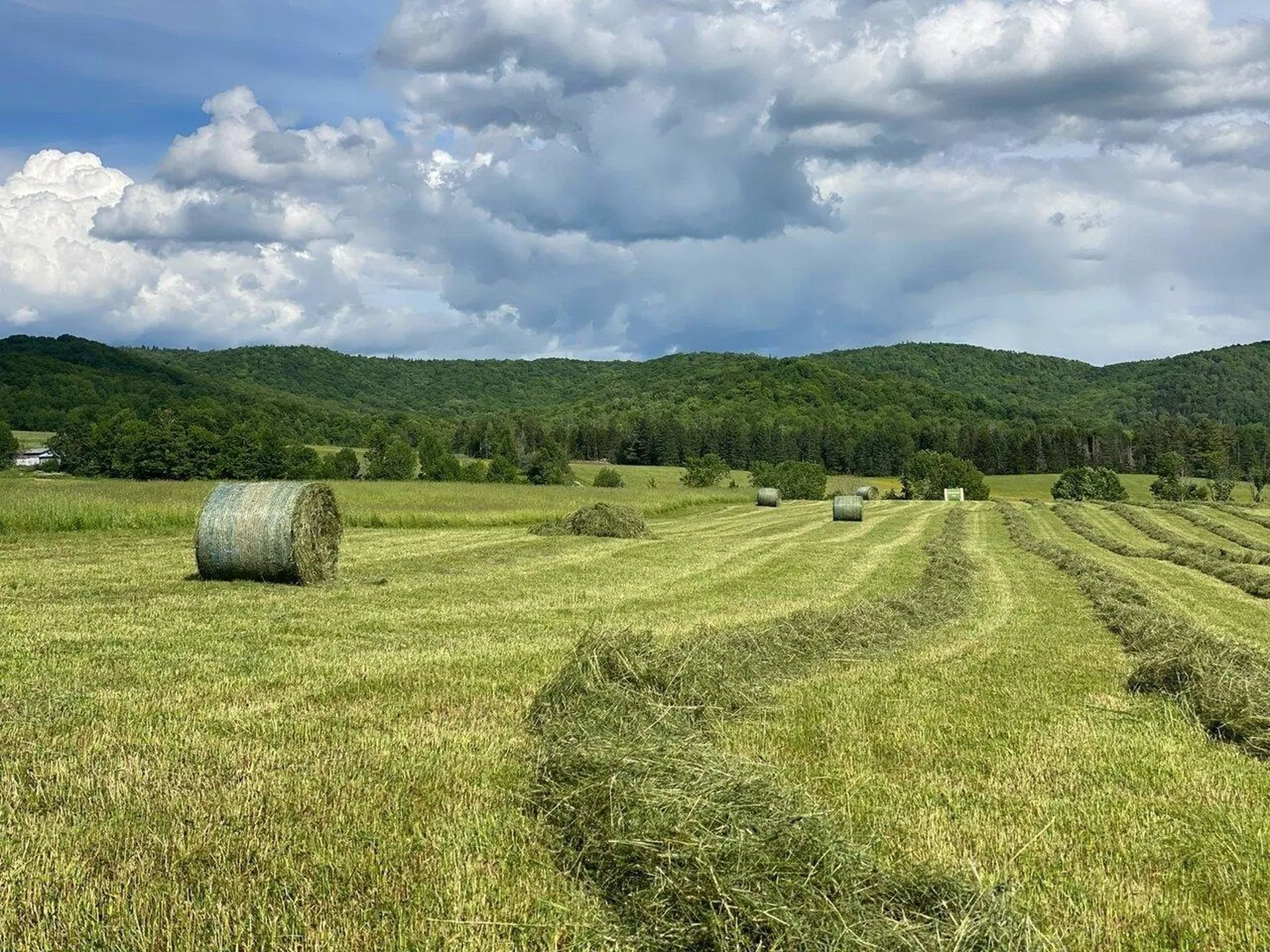 183 & 344 Morrie Road Washington VT 05675