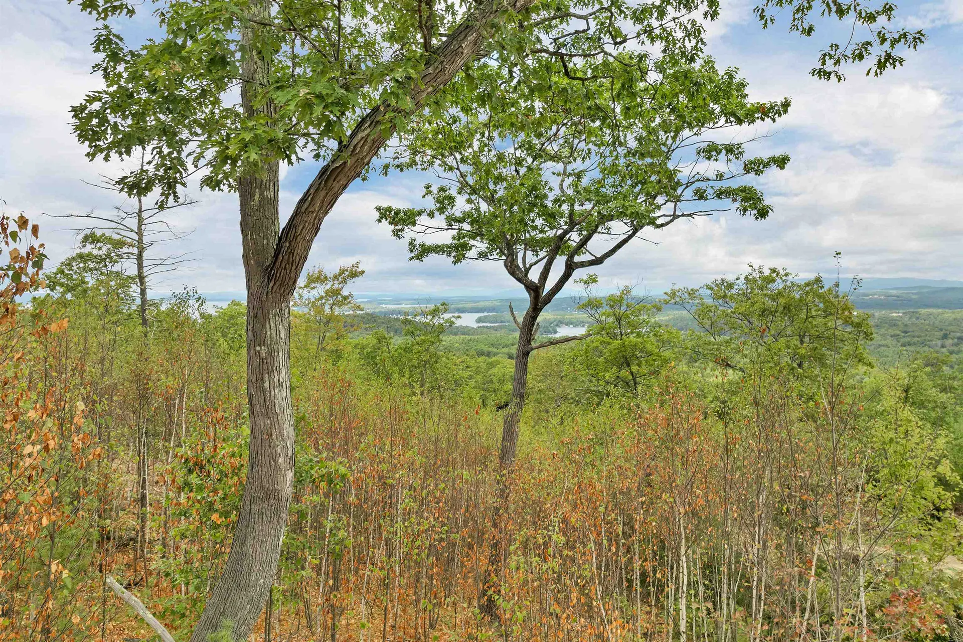 0 Long Stack Lane Wolfeboro NH 03894