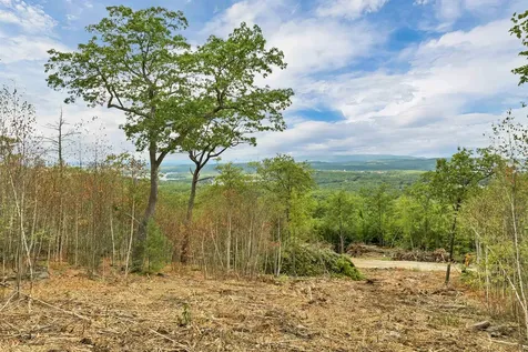 0 Long Stack Lane Wolfeboro NH 03894