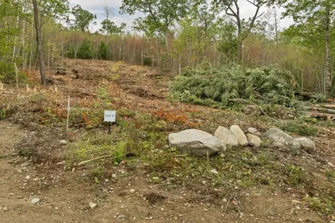 0 Long Stack Lane Wolfeboro NH 03894