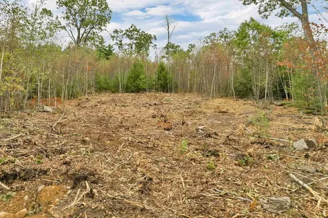 0 Long Stack Lane Wolfeboro NH 03894