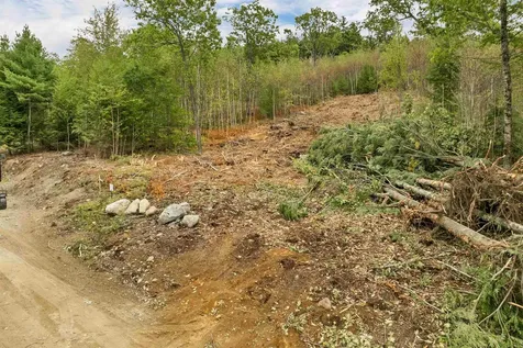 0 Long Stack Lane Wolfeboro NH 03894