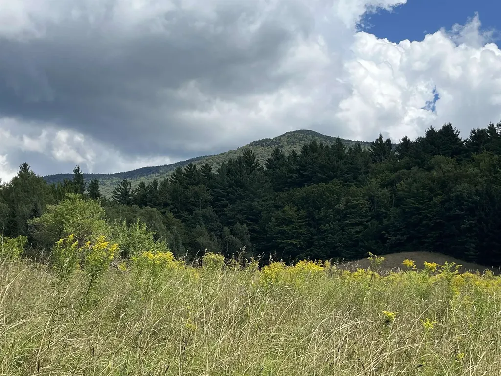 85 Hathaway Road Goshen VT 05733