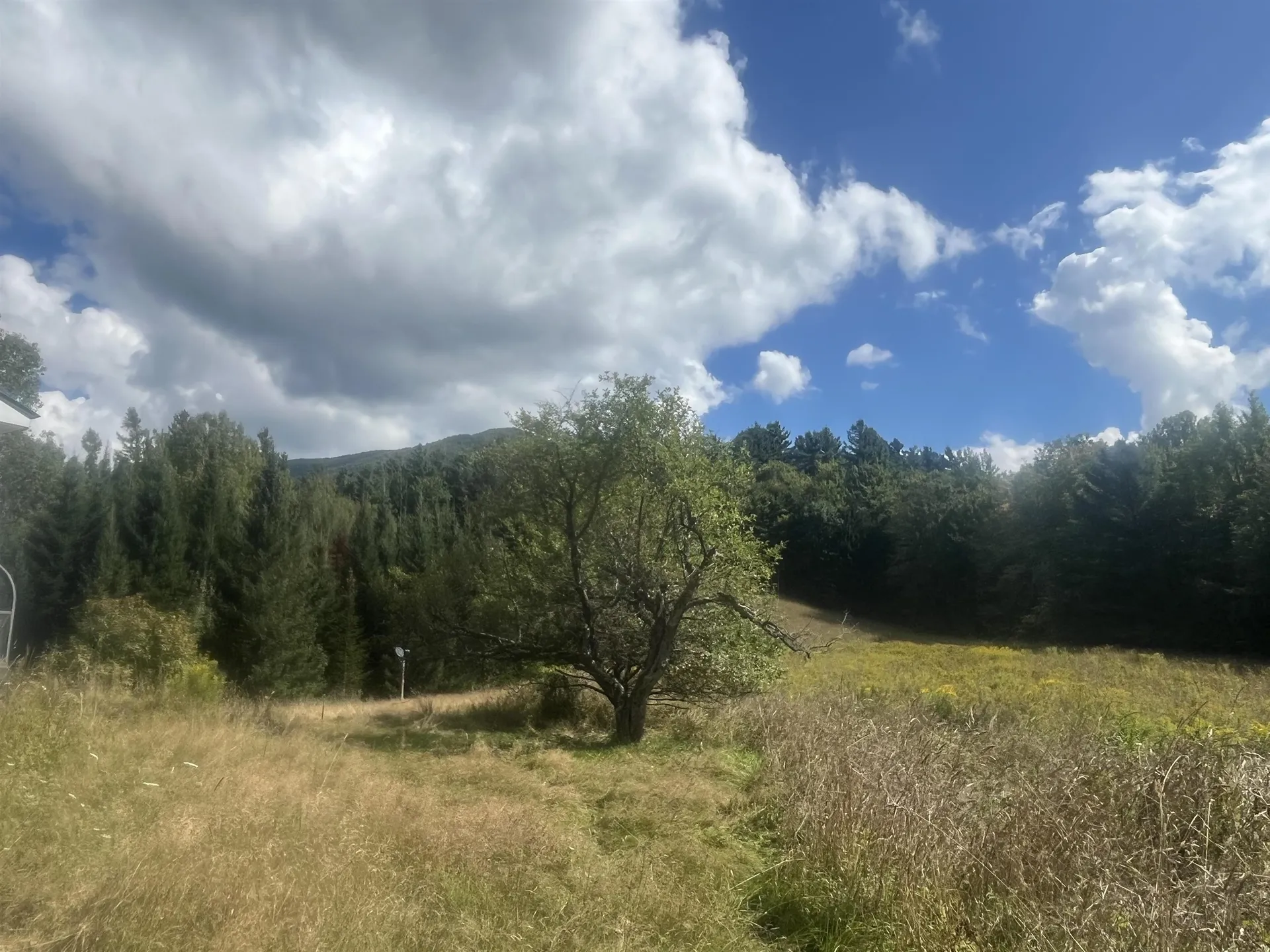 85 Hathaway Road Goshen VT 05733