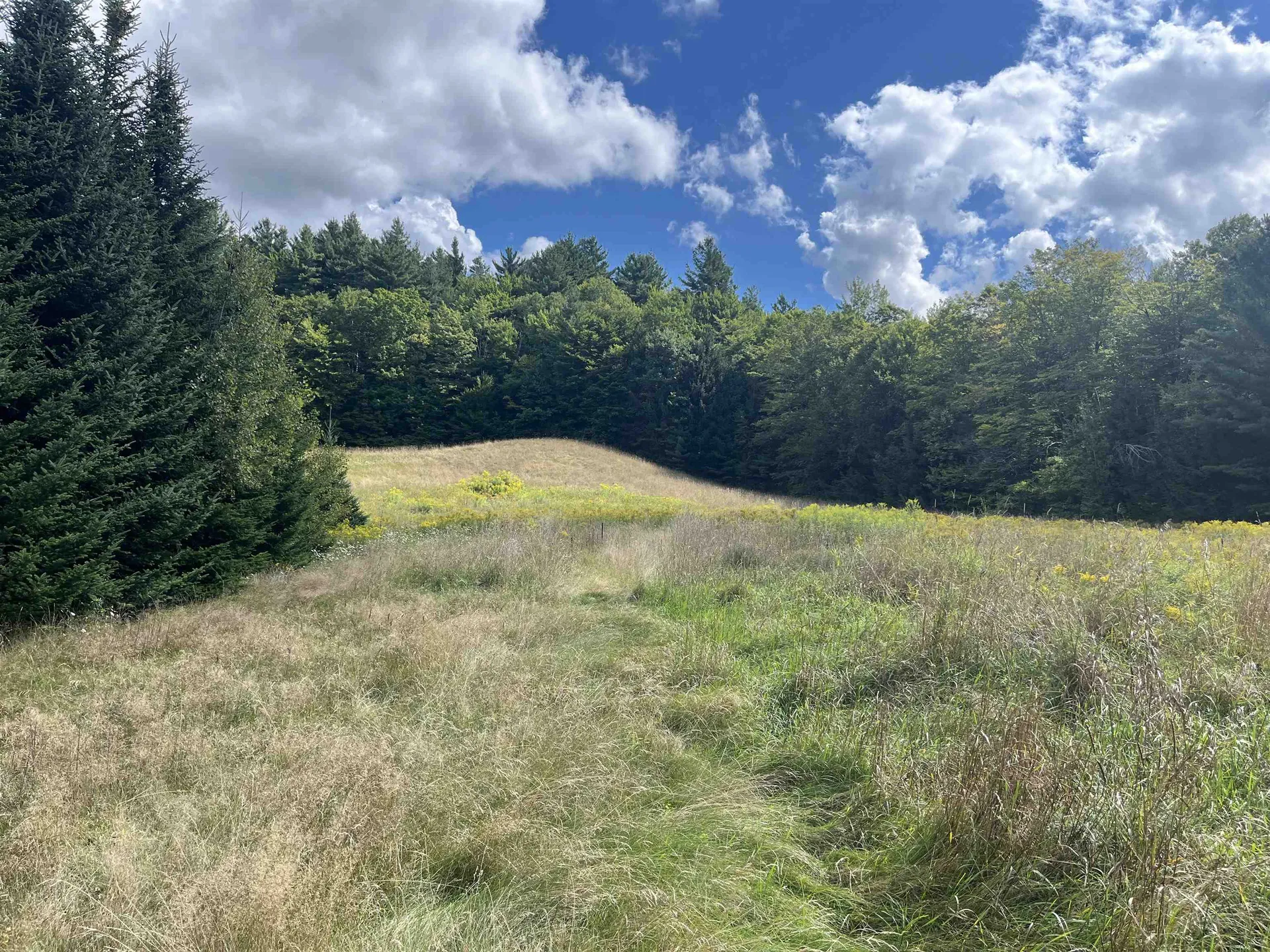 85 Hathaway Road Goshen VT 05733