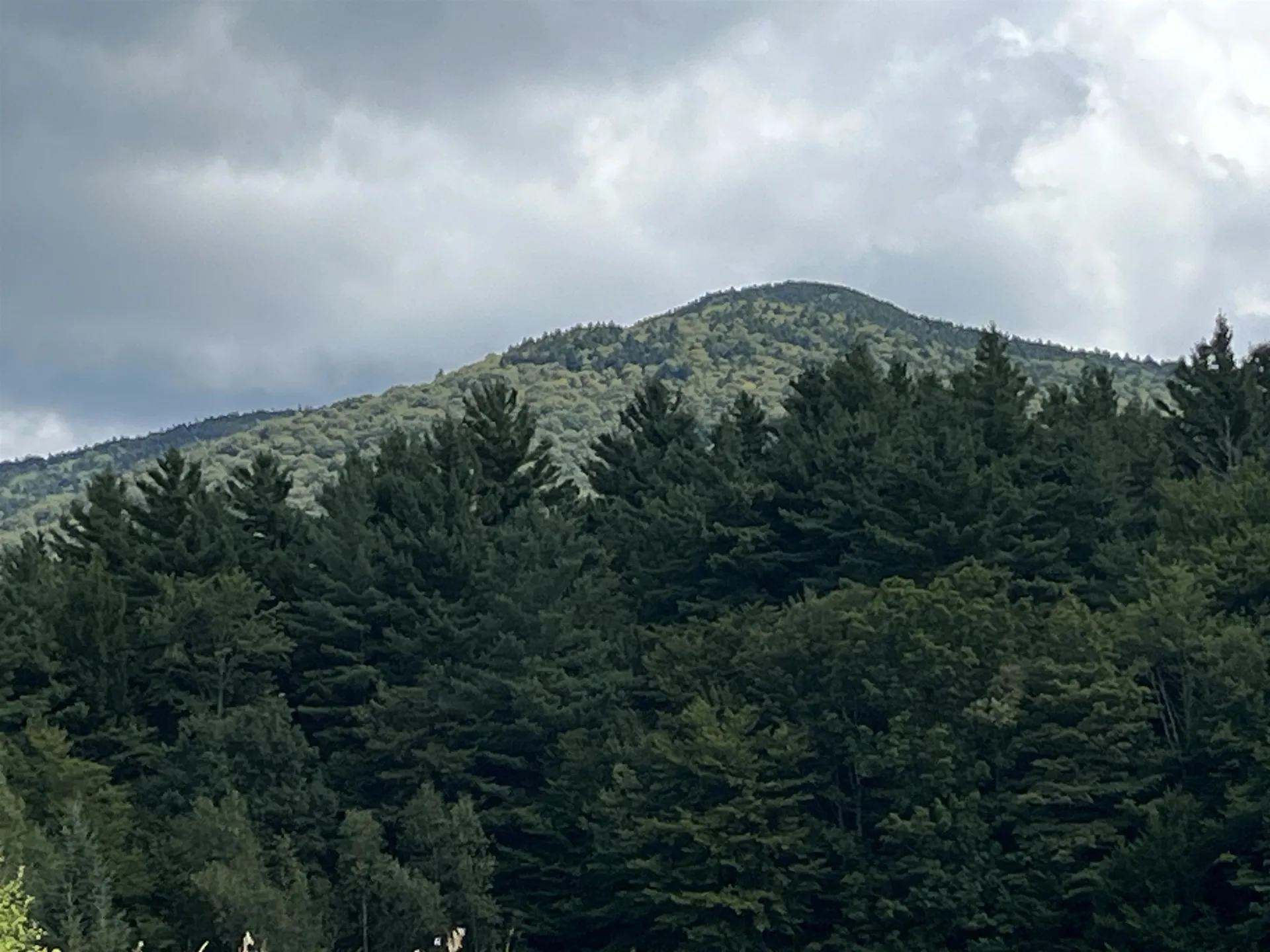 85 Hathaway Road Goshen VT 05733