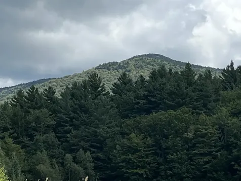 85 Hathaway Road Goshen VT 05733