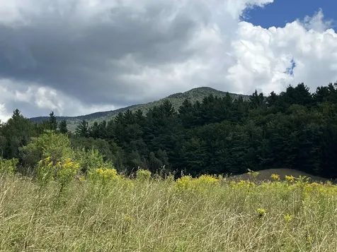 85 Hathaway Road Goshen VT 05733