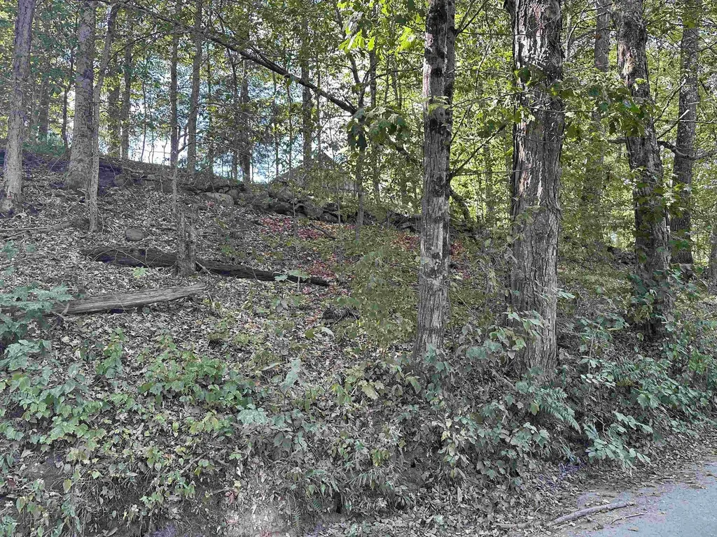 908 Stickney Brook Road Dummerston VT 05301