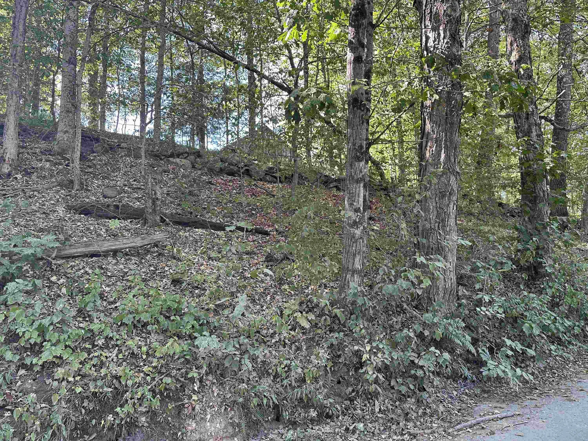 908 Stickney Brook Road Dummerston VT 05301