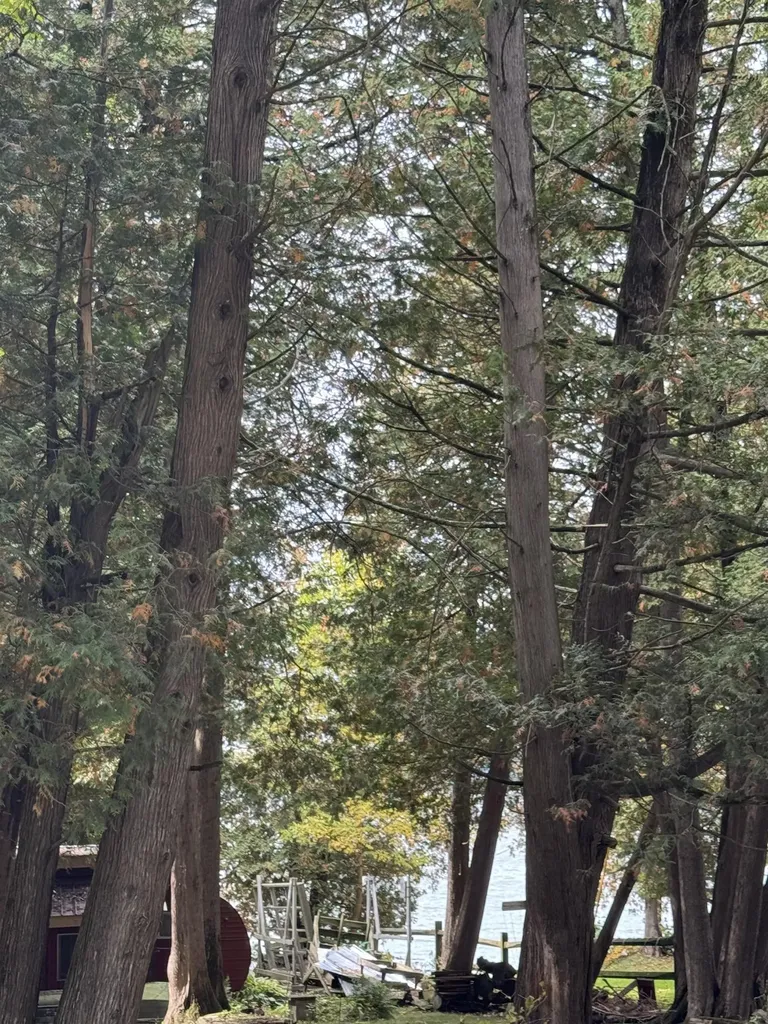 35 Hammond Shore Road Franklin VT 05457