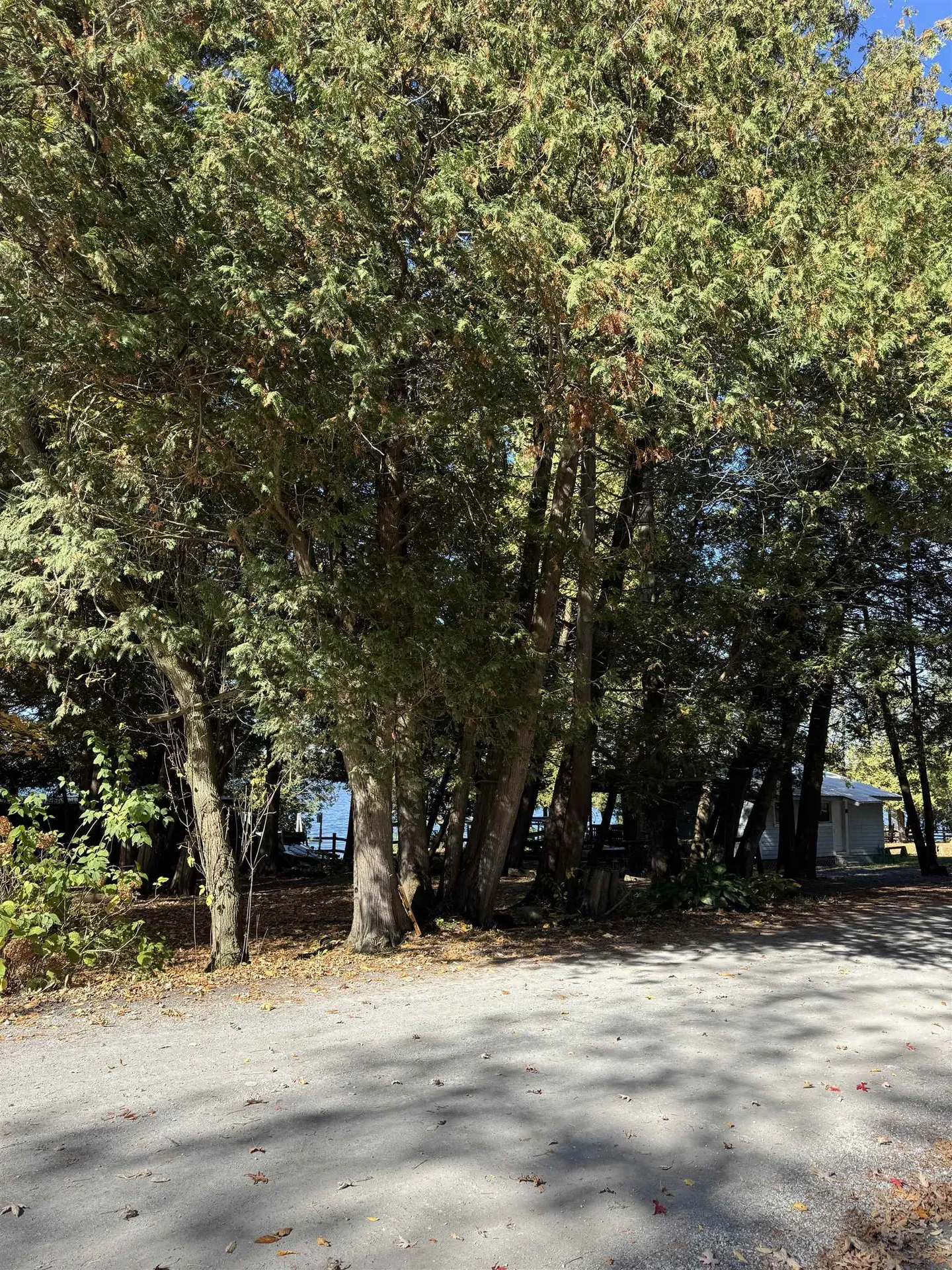 35 Hammond Shore Road Franklin VT 05457