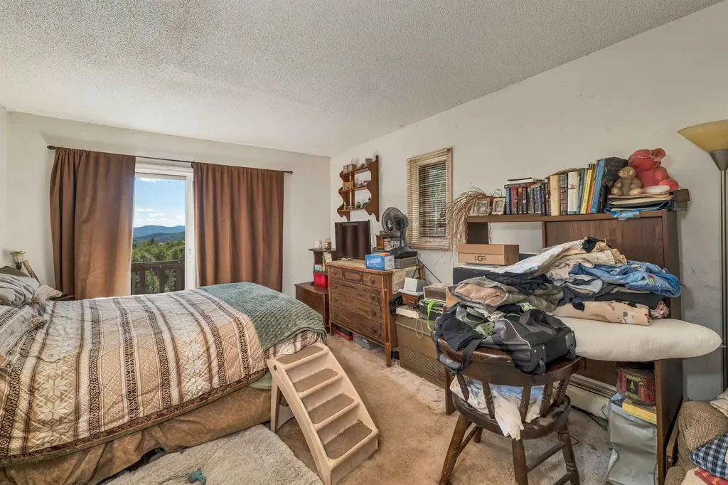 29 Mollie Road Bristol NH 03222