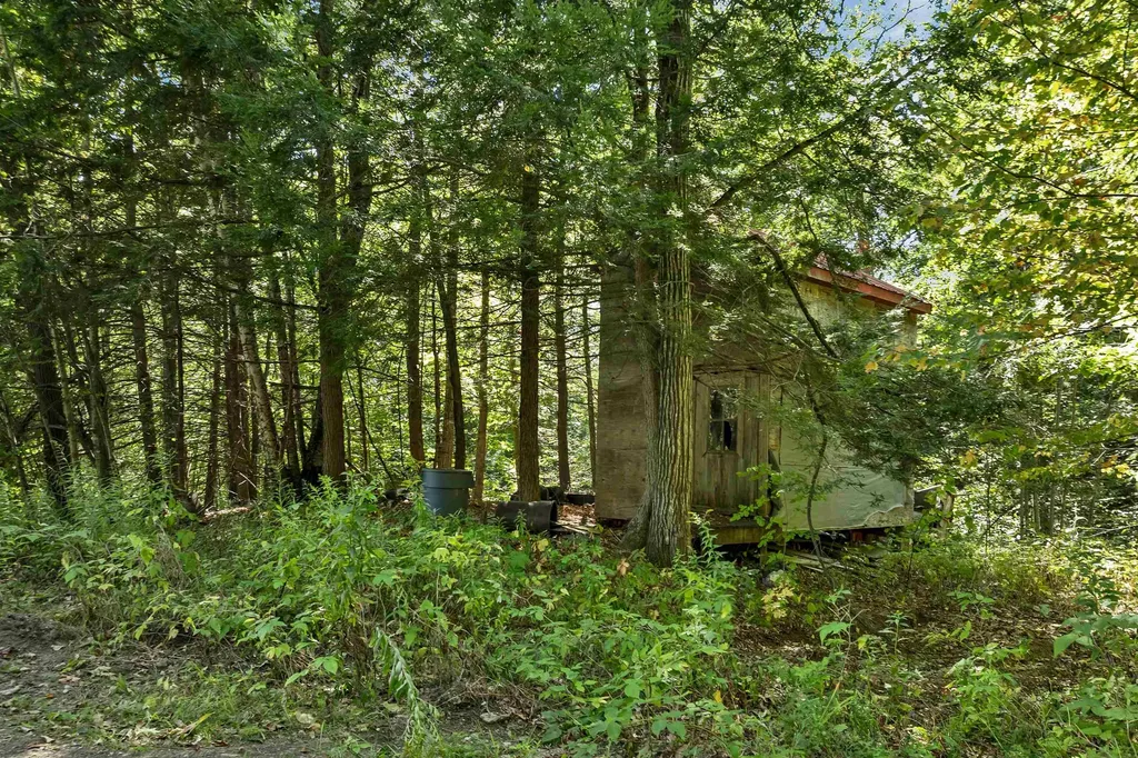 29 Mollie Road Bristol NH 03222