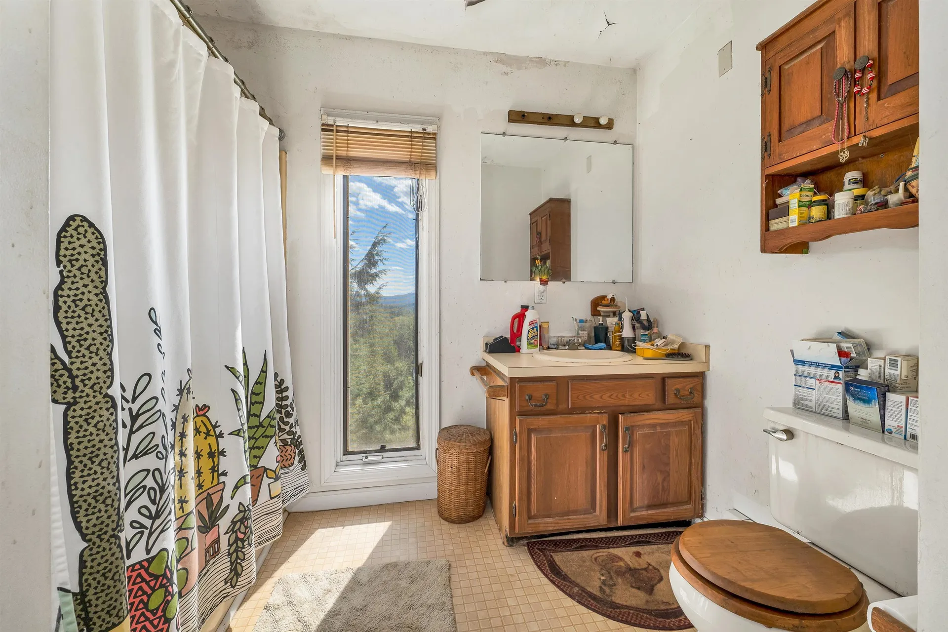 29 Mollie Road Bristol NH 03222