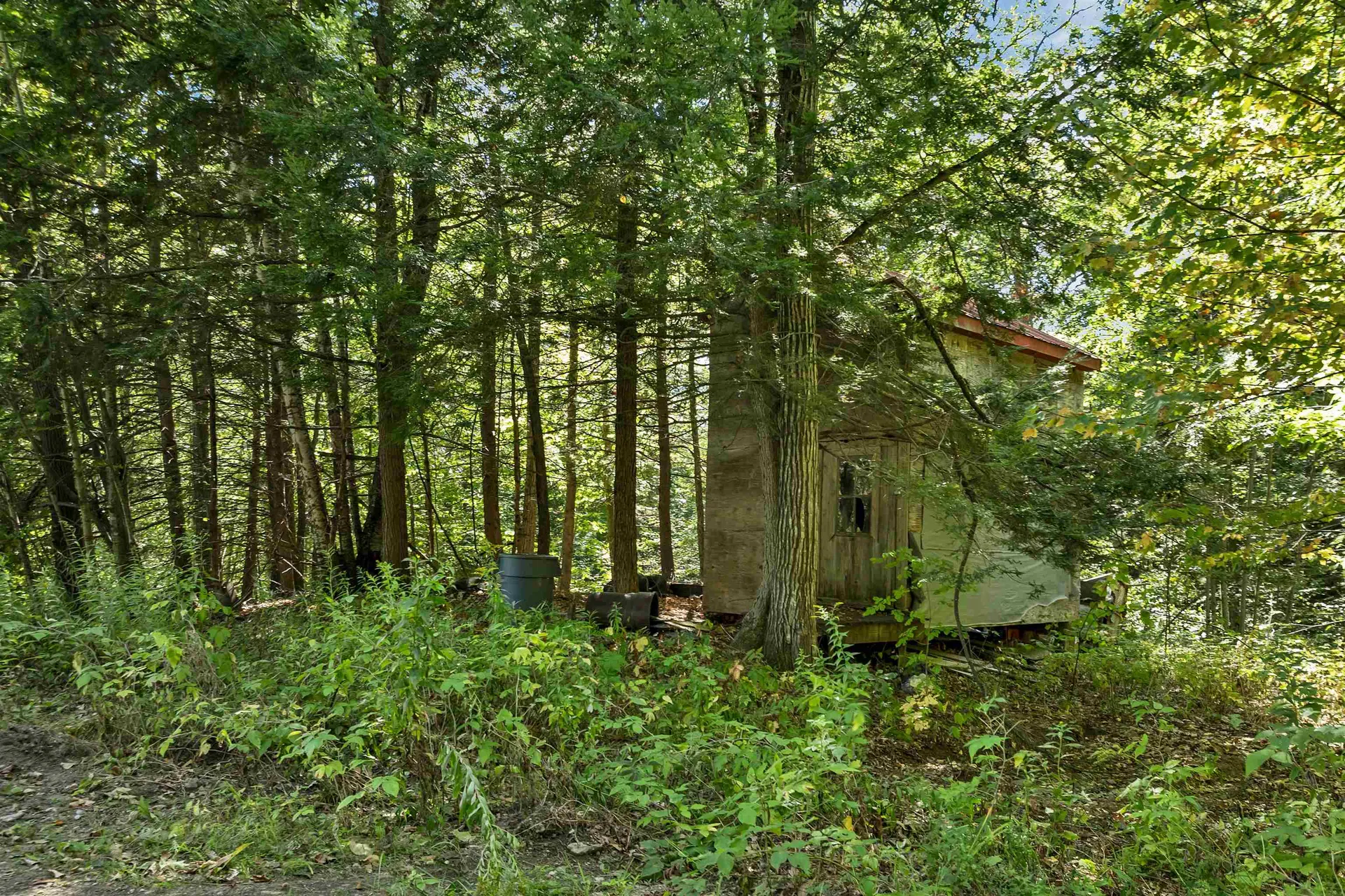 29 Mollie Road Bristol NH 03222