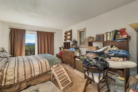 29 Mollie Road Bristol NH 03222