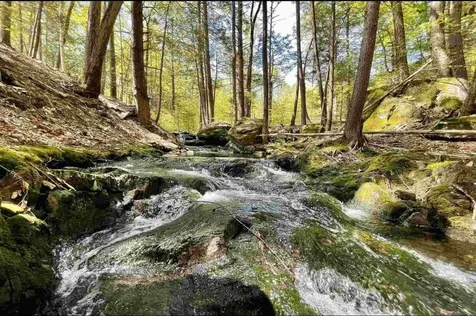 430 Huckle Hill Road Vernon VT 05354