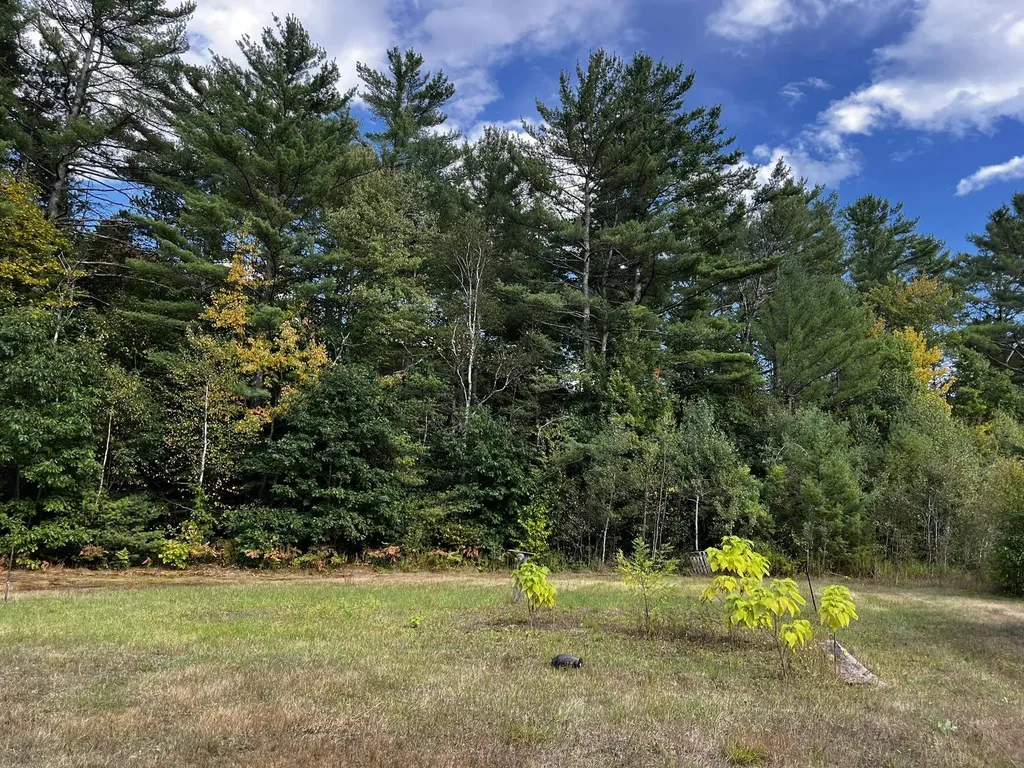 791 West Side Road Bartlett NH 03812