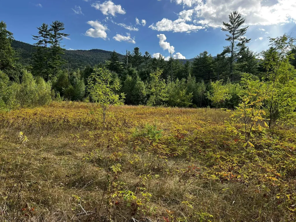 791 West Side Road Bartlett NH 03812