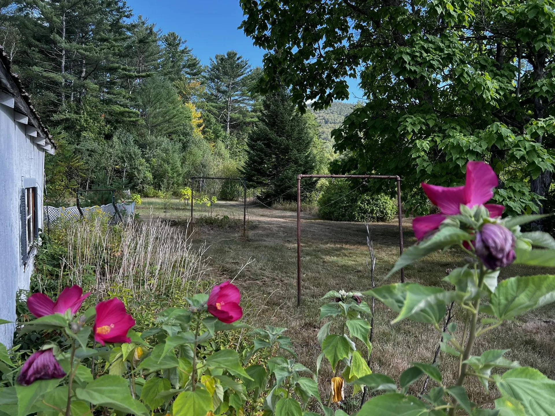 791 West Side Road Bartlett NH 03812