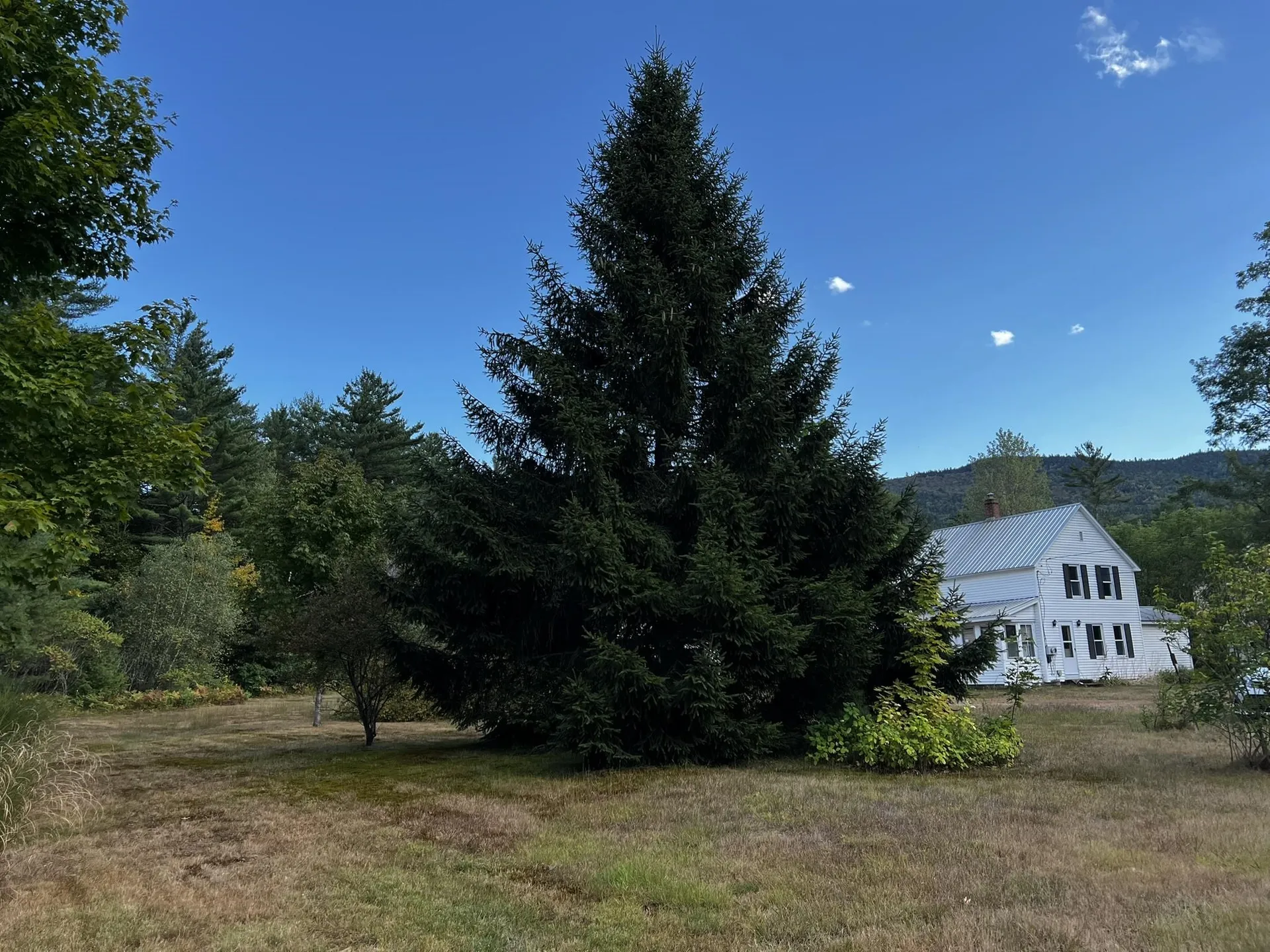 791 West Side Road Bartlett NH 03812