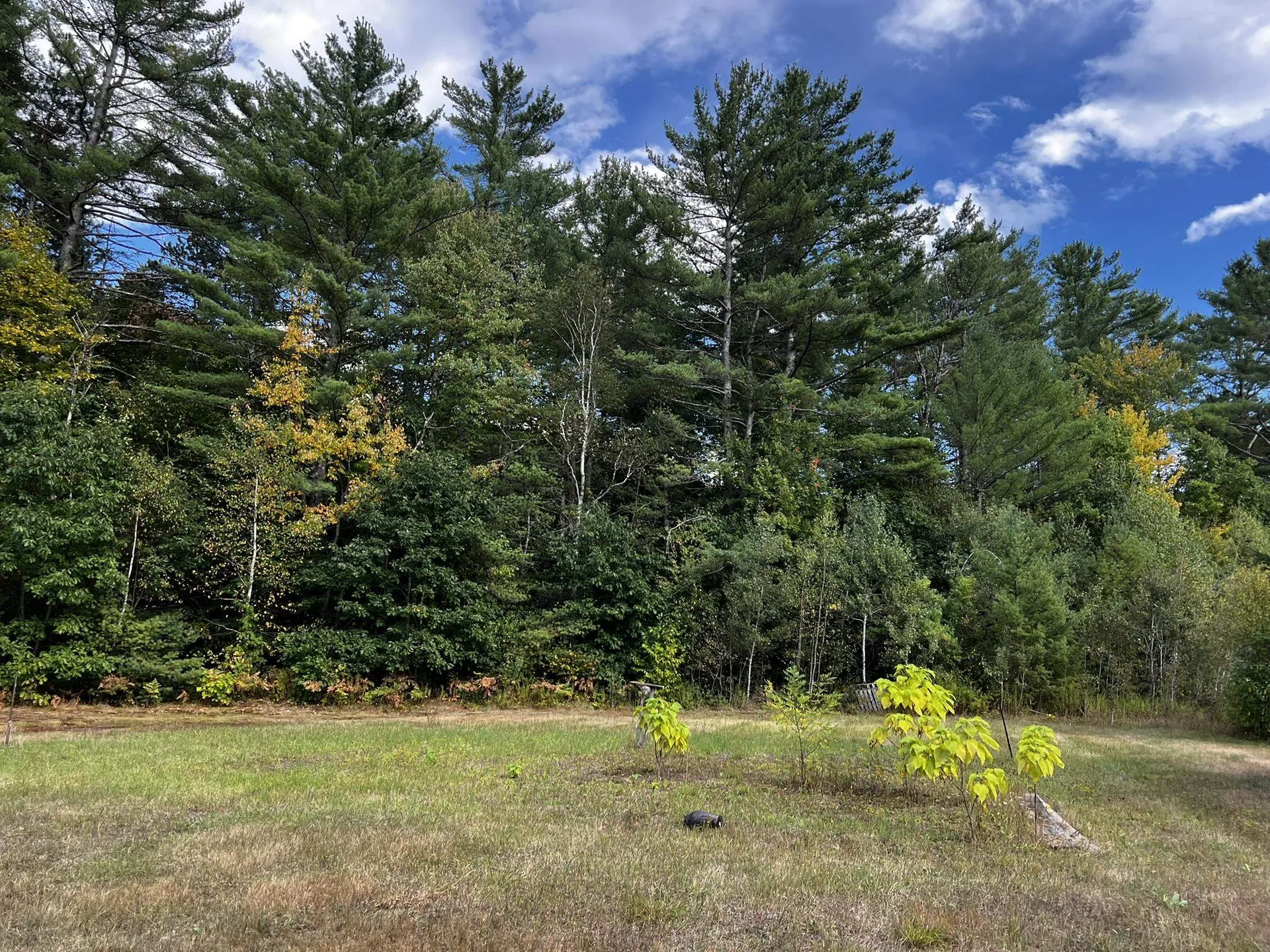 791 West Side Road Bartlett NH 03812