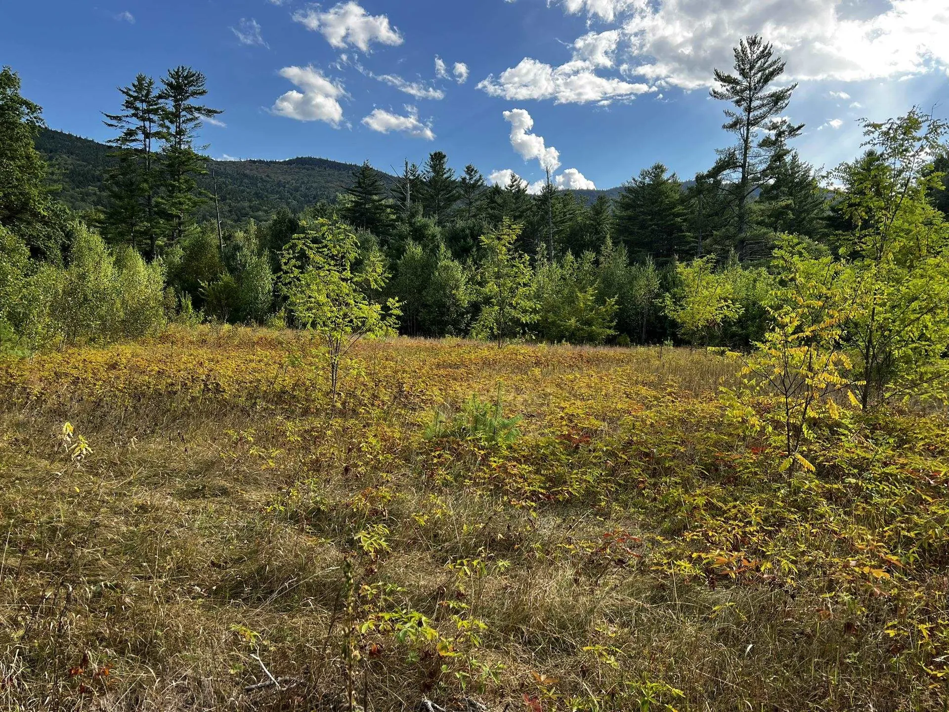 791 West Side Road Bartlett NH 03812