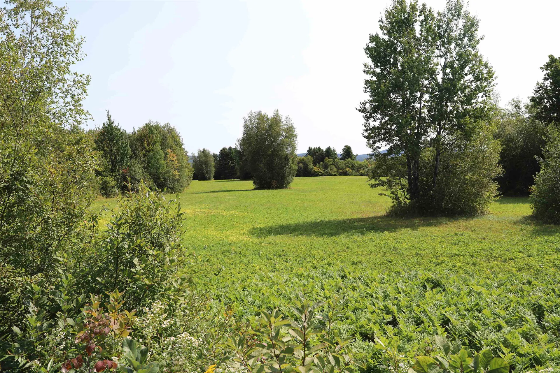 Tbd Balance Rock Road Westfield VT 05874