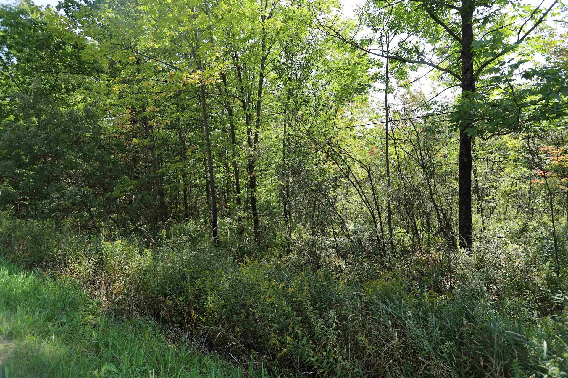 Tbd Balance Rock Road Westfield VT 05874