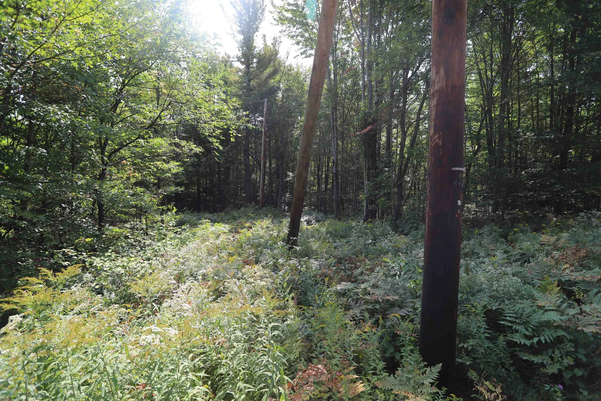 Tbd Balance Rock Road Westfield VT 05874