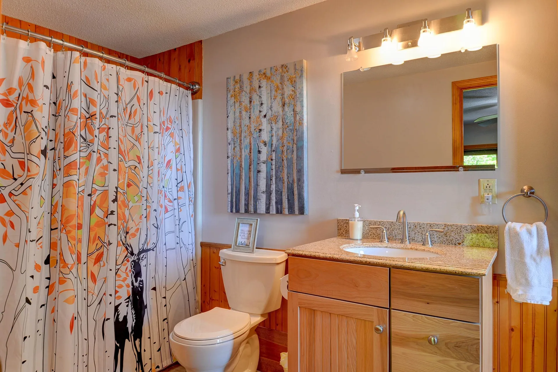 38 Iron Ledge Road Bartlett NH 03812