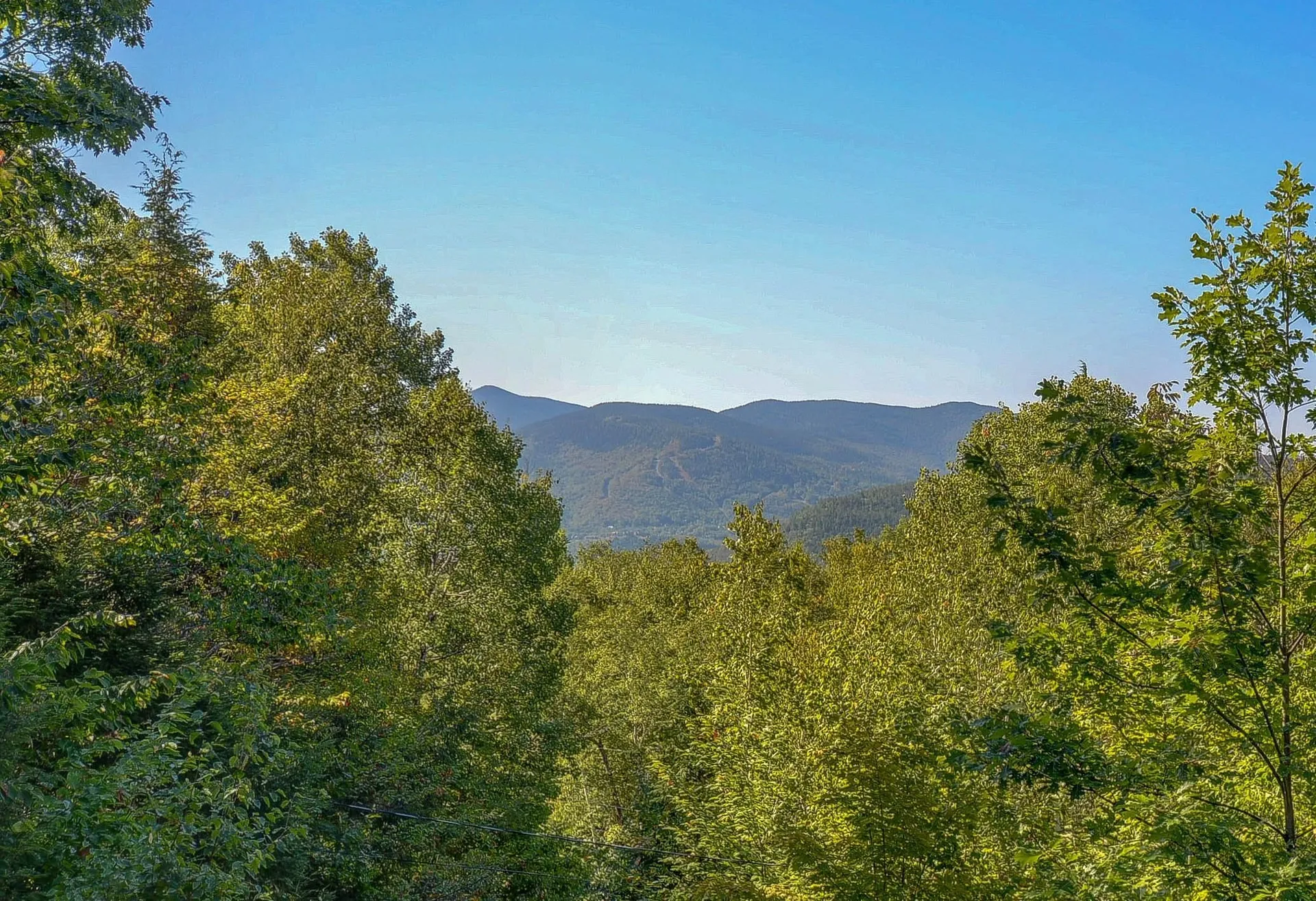 38 Iron Ledge Road Bartlett NH 03812