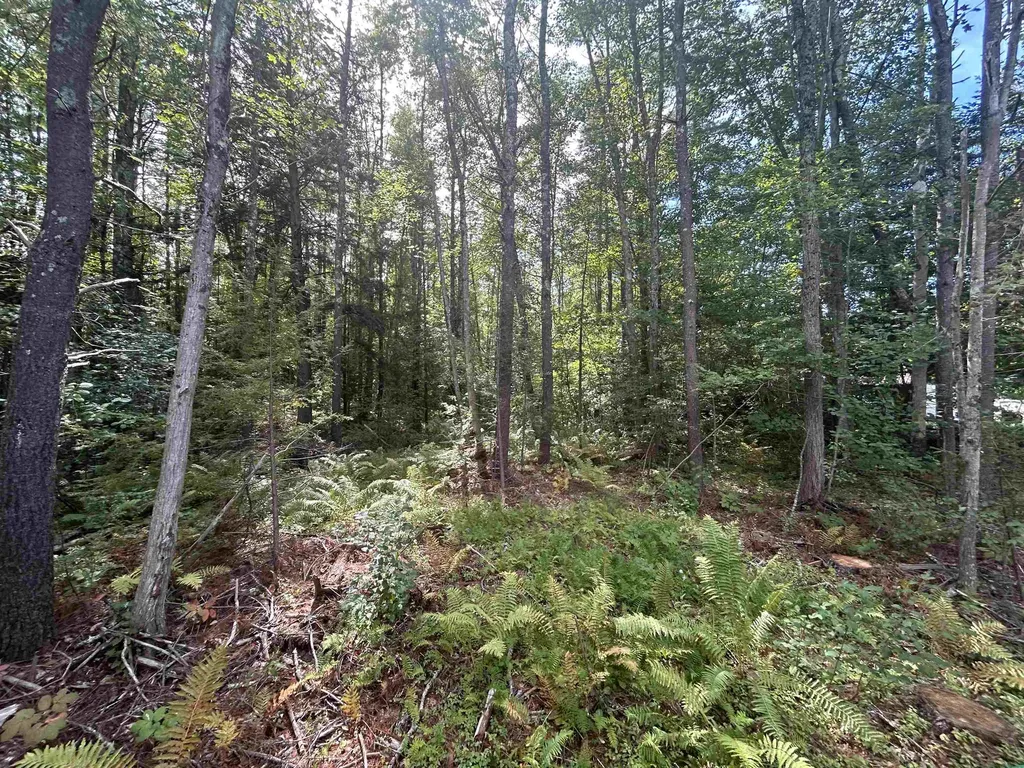 137 Salmon Falls Road Rochester NH 03868