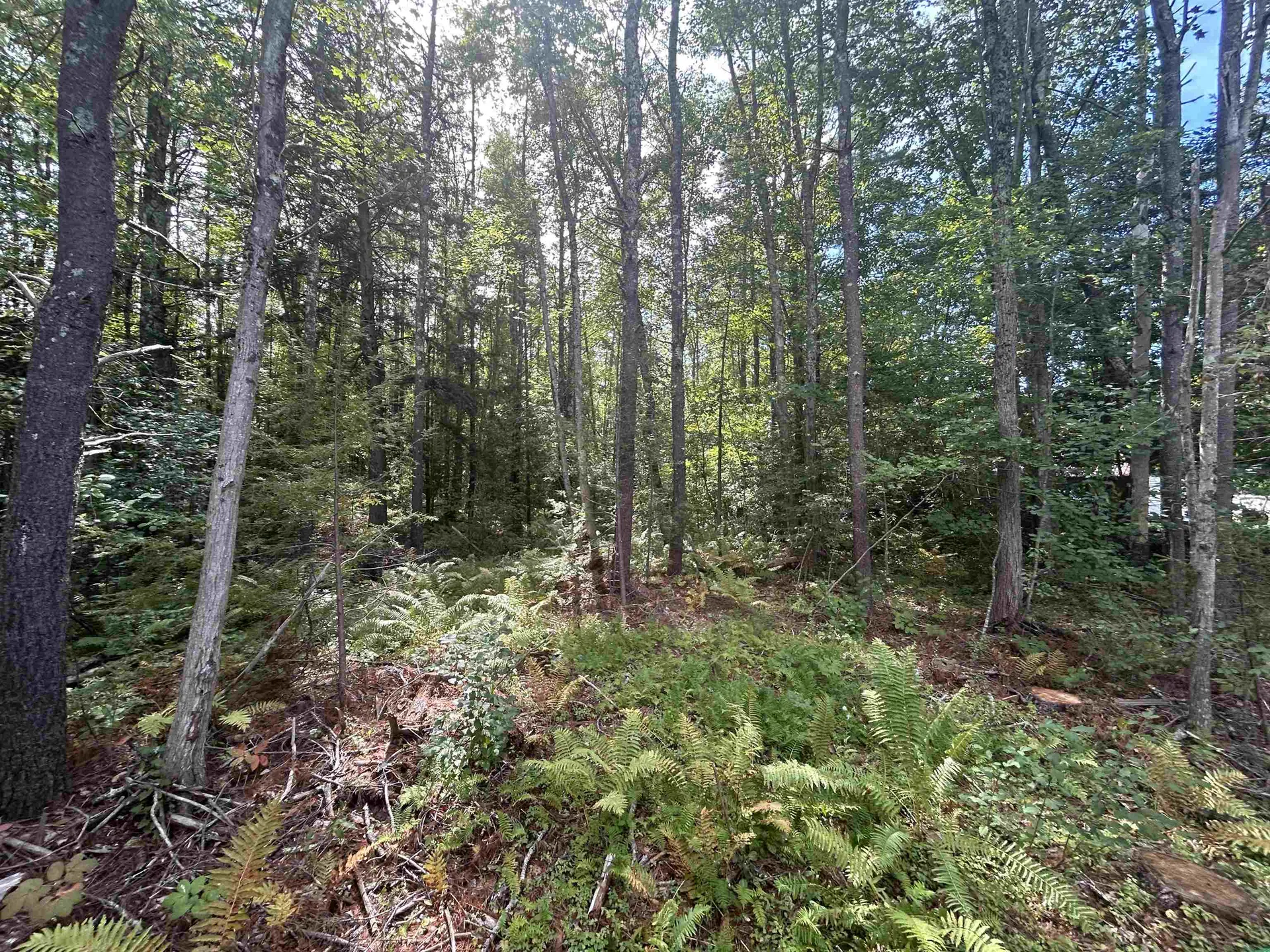 137 Salmon Falls Road Rochester NH 03868