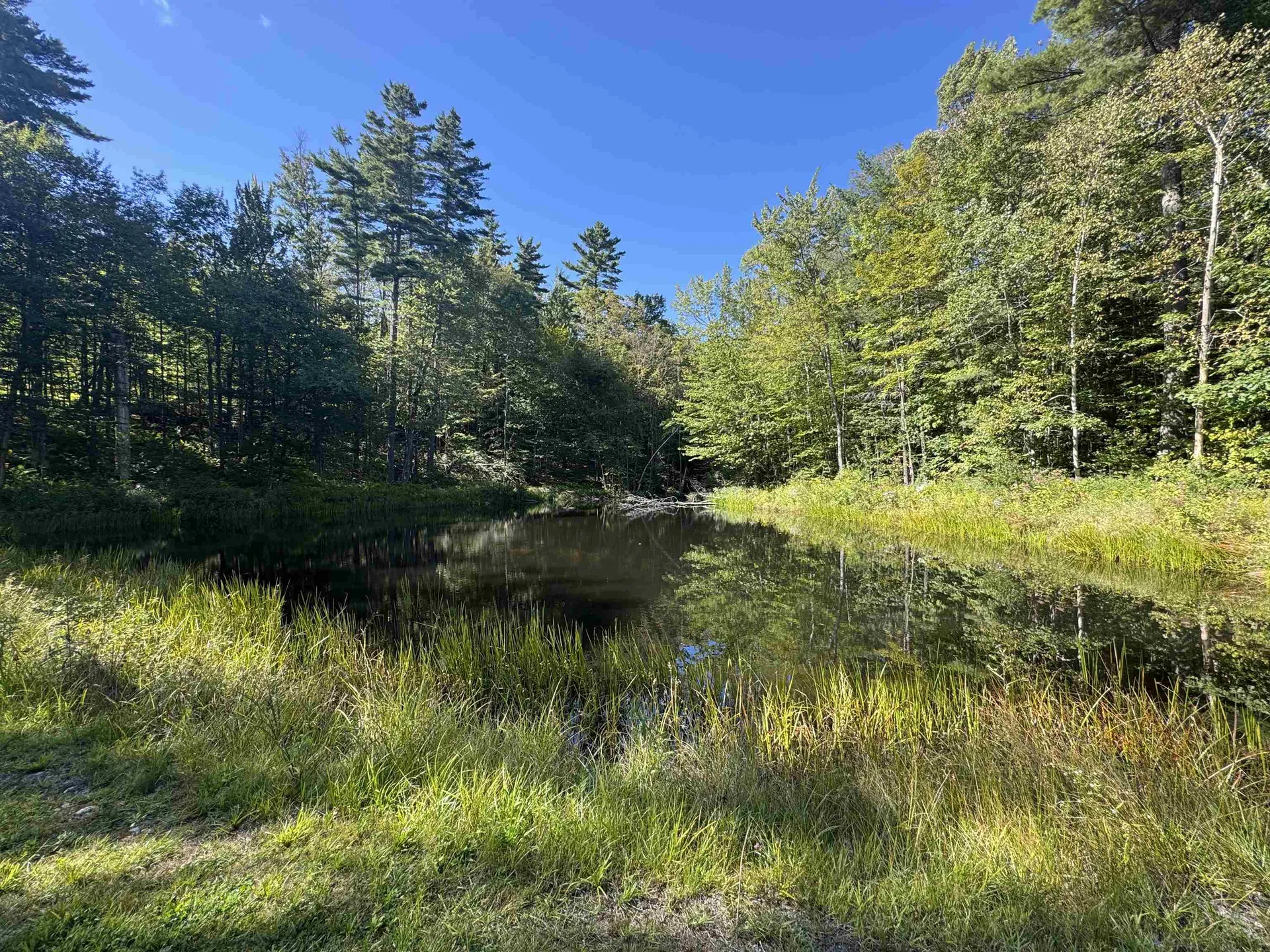 473 Hapgood Pond Road Peru VT 05152