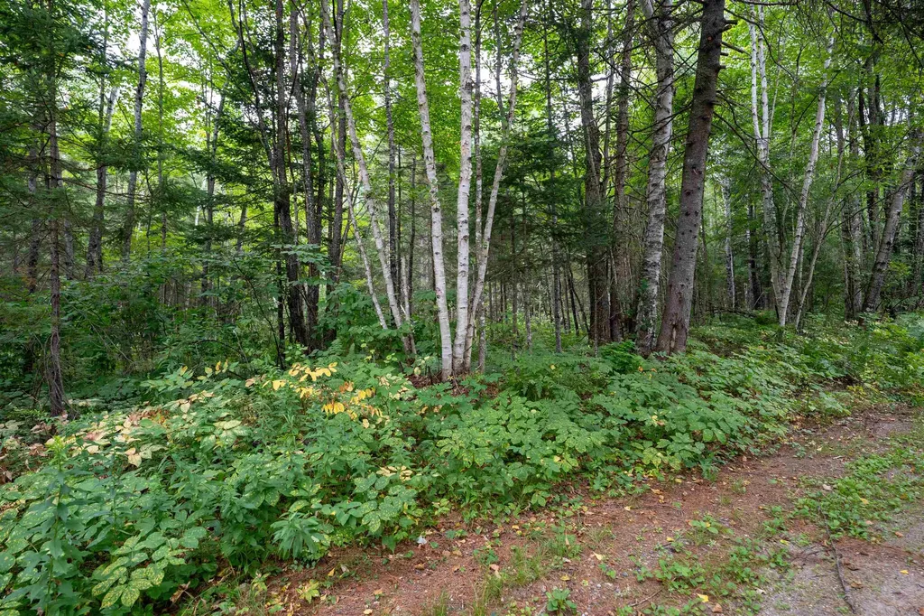 00 Boise Cascade Road Dummer NH 03588