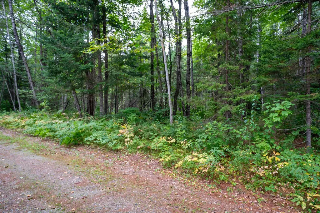 00 Boise Cascade Road Dummer NH 03588