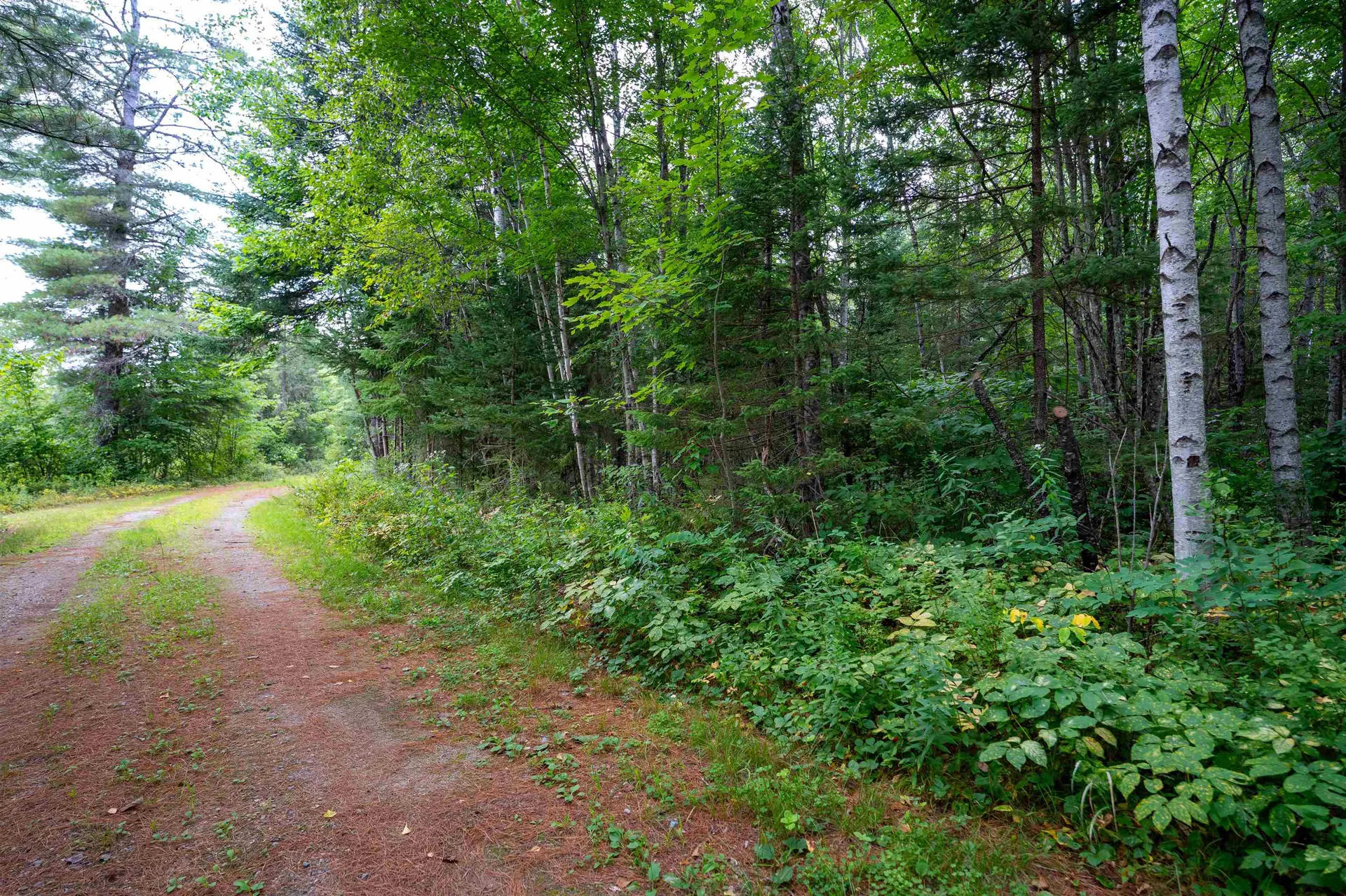 00 Boise Cascade Road Dummer NH 03588