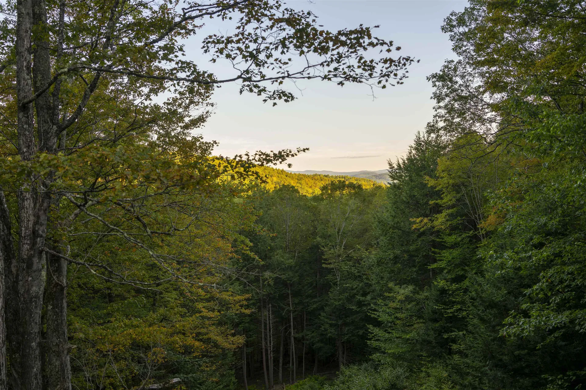 1877 Willard Road Hartford VT 05059