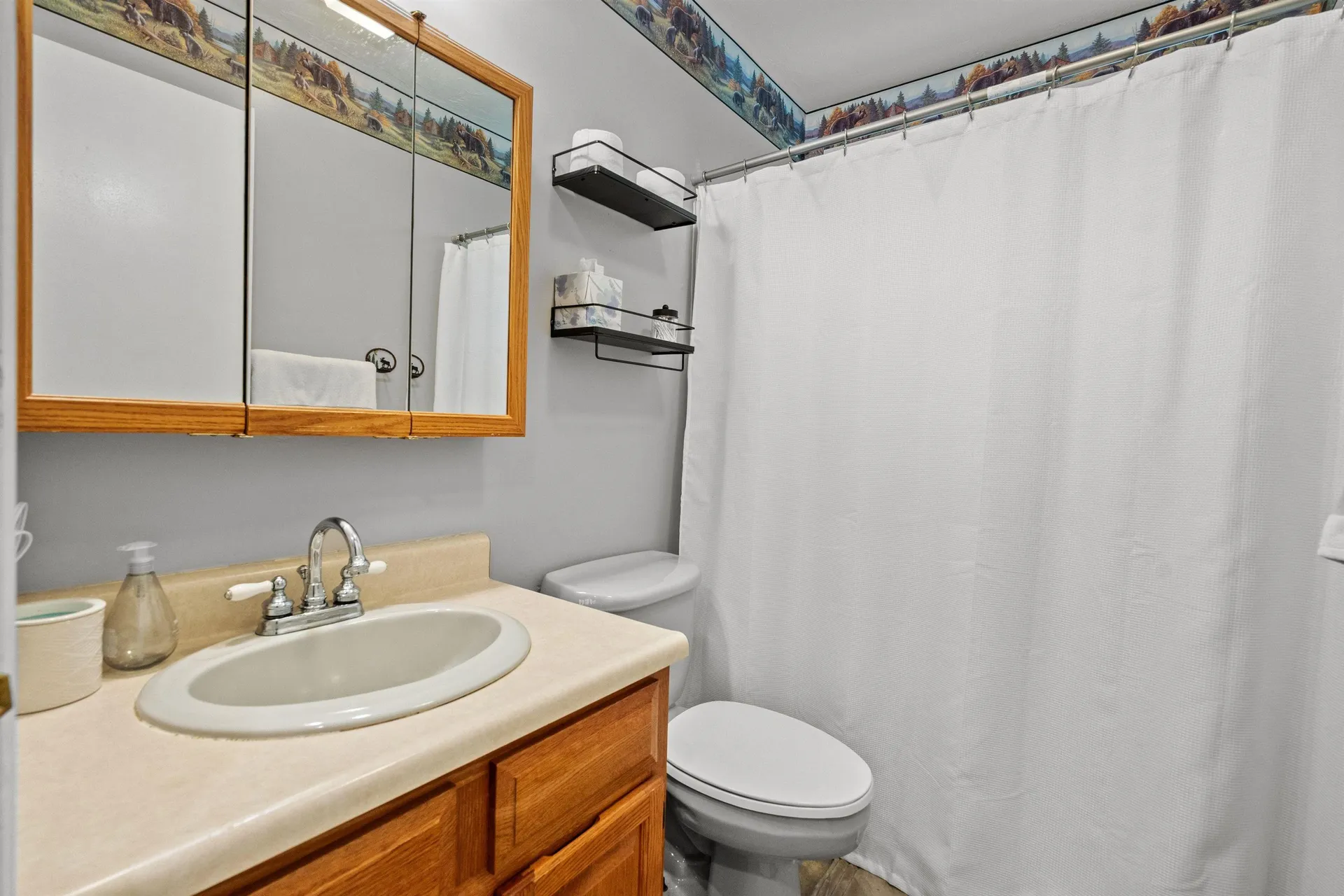 728 East Side Drive Alton NH 03809