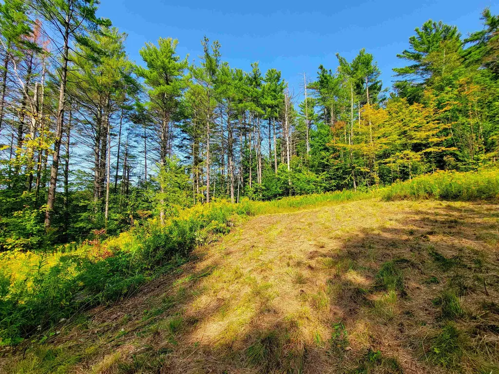 4440 Big Hollow Road Starksboro VT 05487