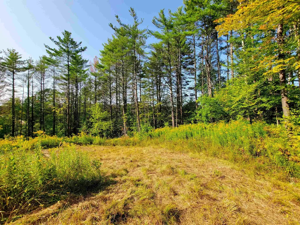 4440 Big Hollow Road Starksboro VT 05487