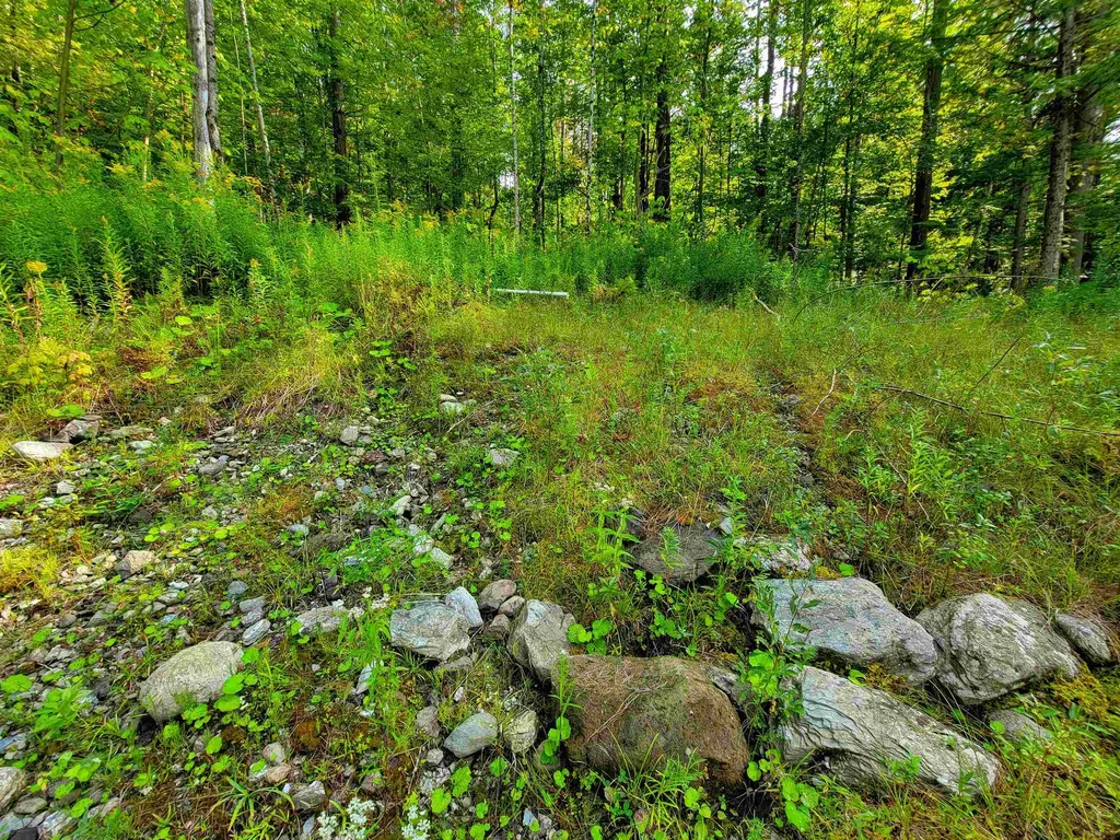 4440 Big Hollow Road Starksboro VT 05487