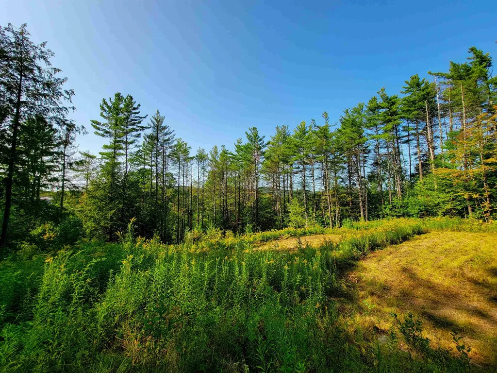 4440 Big Hollow Road Starksboro VT 05487