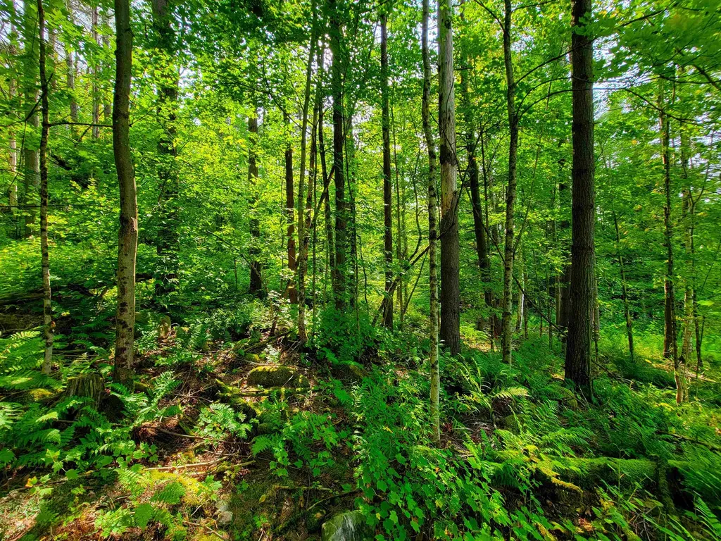 4440 Big Hollow Road Starksboro VT 05487