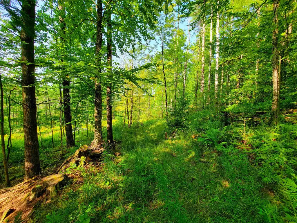 4440 Big Hollow Road Starksboro VT 05487