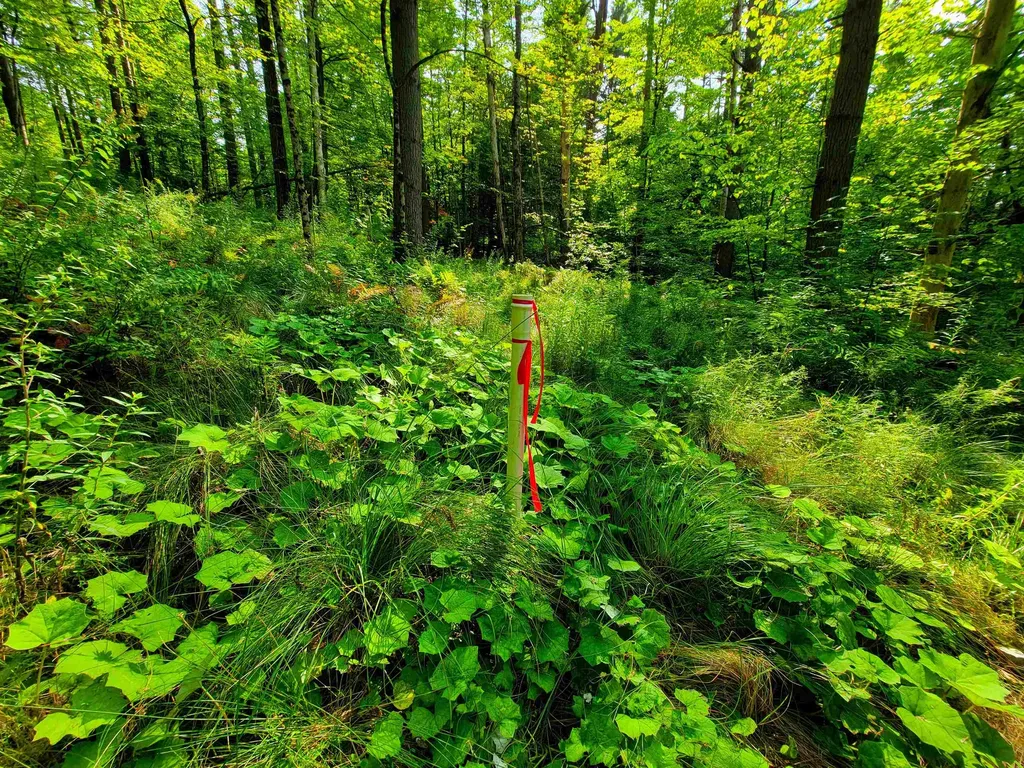 4440 Big Hollow Road Starksboro VT 05487